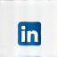Icona LinkedIn